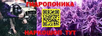 шишки Ипатово